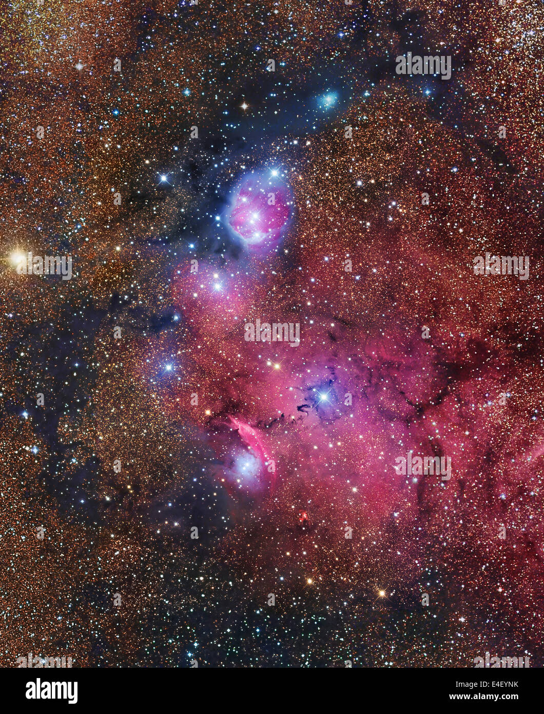 NGC 6559 Emission und Reflexion Nebel im Sternzeichen des schützen. Innerhalb des Nebels komplexe sind mehrere helle blaue Reflexion Wolken Stockfoto
