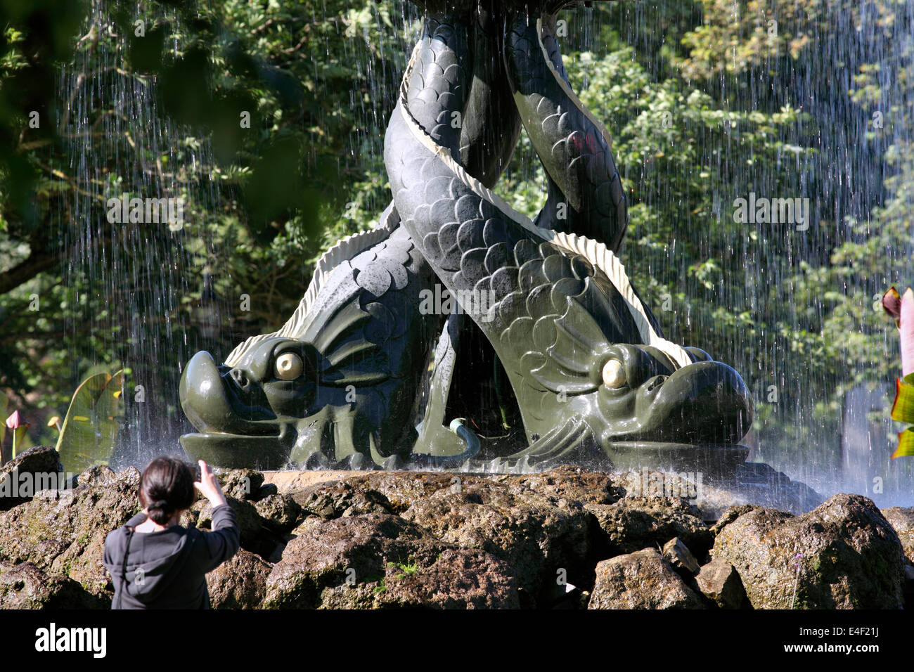 Schließen Sie oben von den verschlungenen Delphinen (oder Fisch?), die den Victoria-Brunnen im alten Steine Gärten, Brighton zu unterstützen. Stockfoto