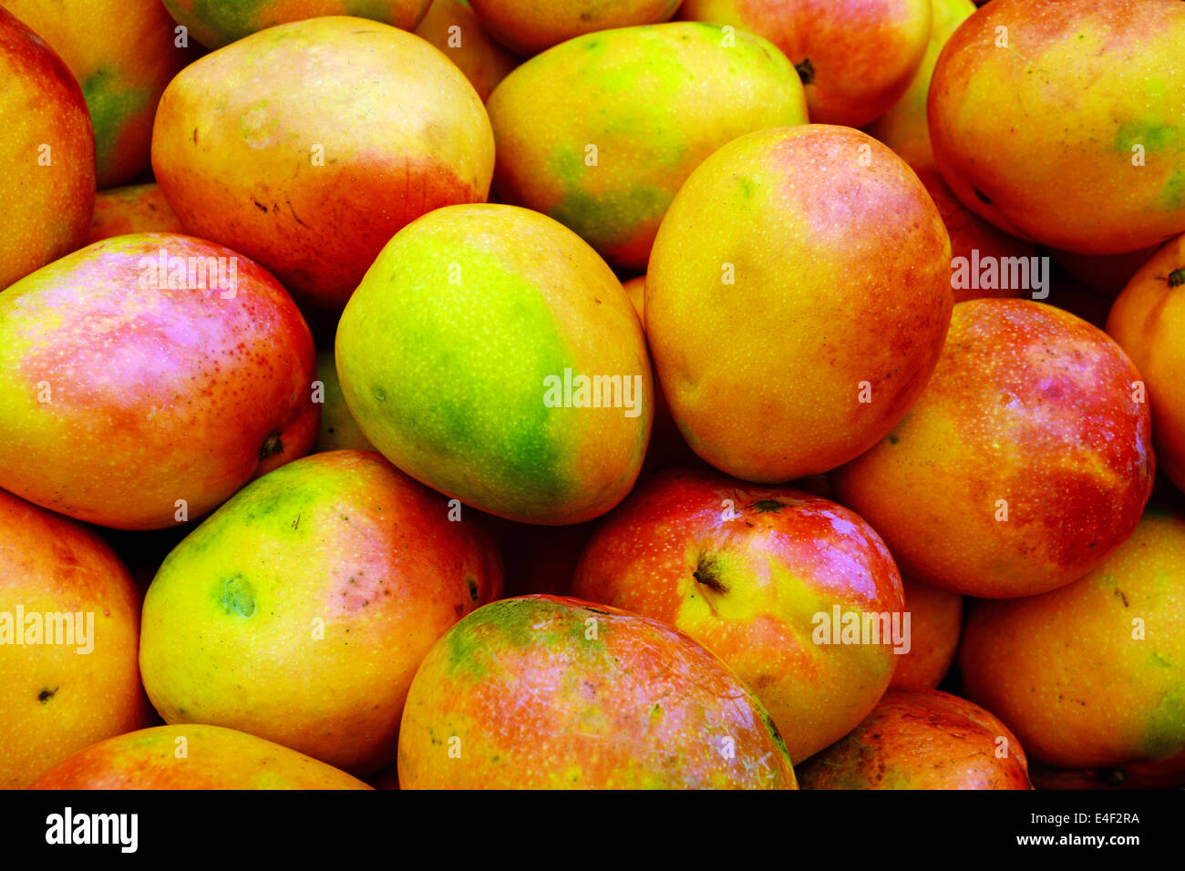 Mango auf den Markt, Stockfoto