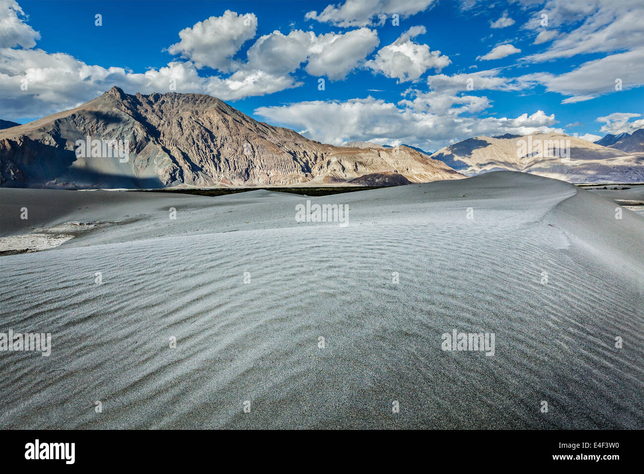 Sanddünen im Himalaya. Hunder, Nubra Tal, Ladakh, Indien Stockfoto