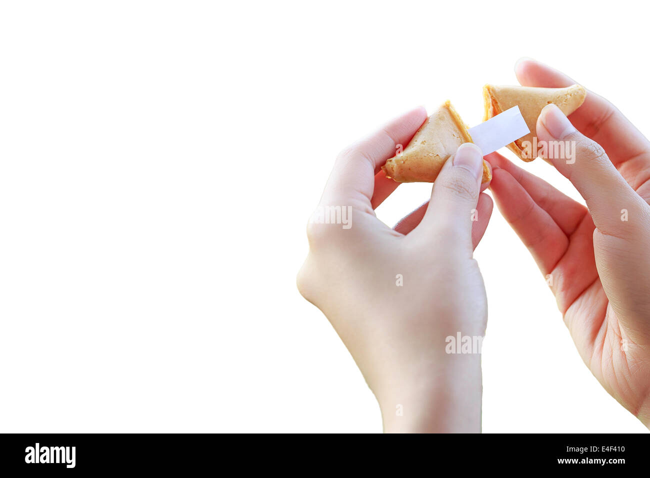 Womans Hände öffnen einen Glückskeks | Isoliert Stockfoto