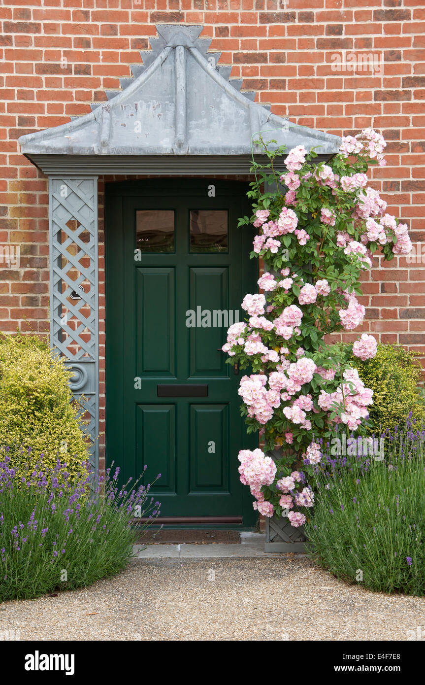 House Door Pink Roses Stockfotos & House Door Pink Roses Bilder - Alamy