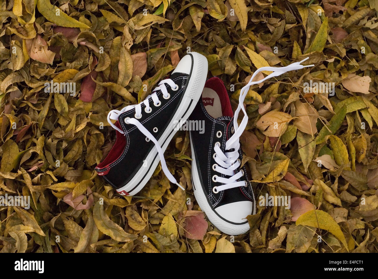 Sneaker auf Blätter im Freien, konzeptionelle. Stockfoto