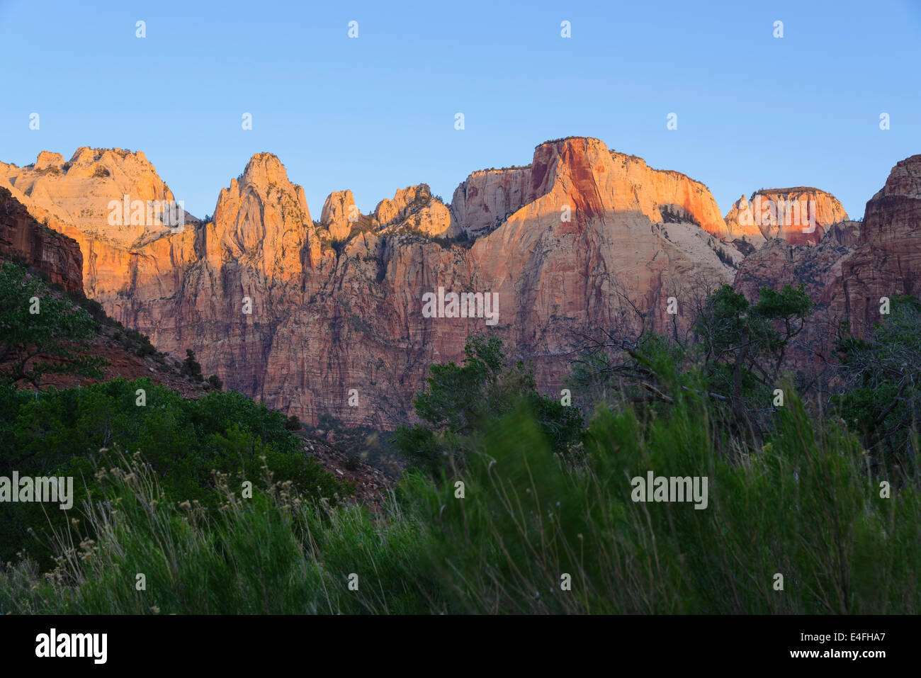 Sonnenaufgang über den Türmen der Jungfrau, Zion Nationalpark, Utah, USA Stockfoto