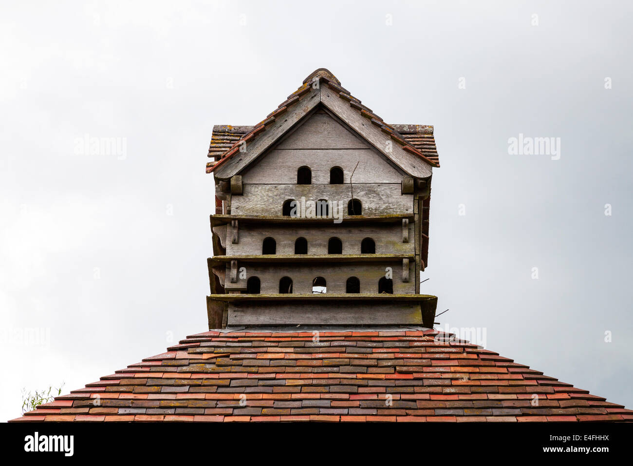 Taubenschlag Taube Cote Zuhause für Tauben Cotswolds UK England Stockfoto