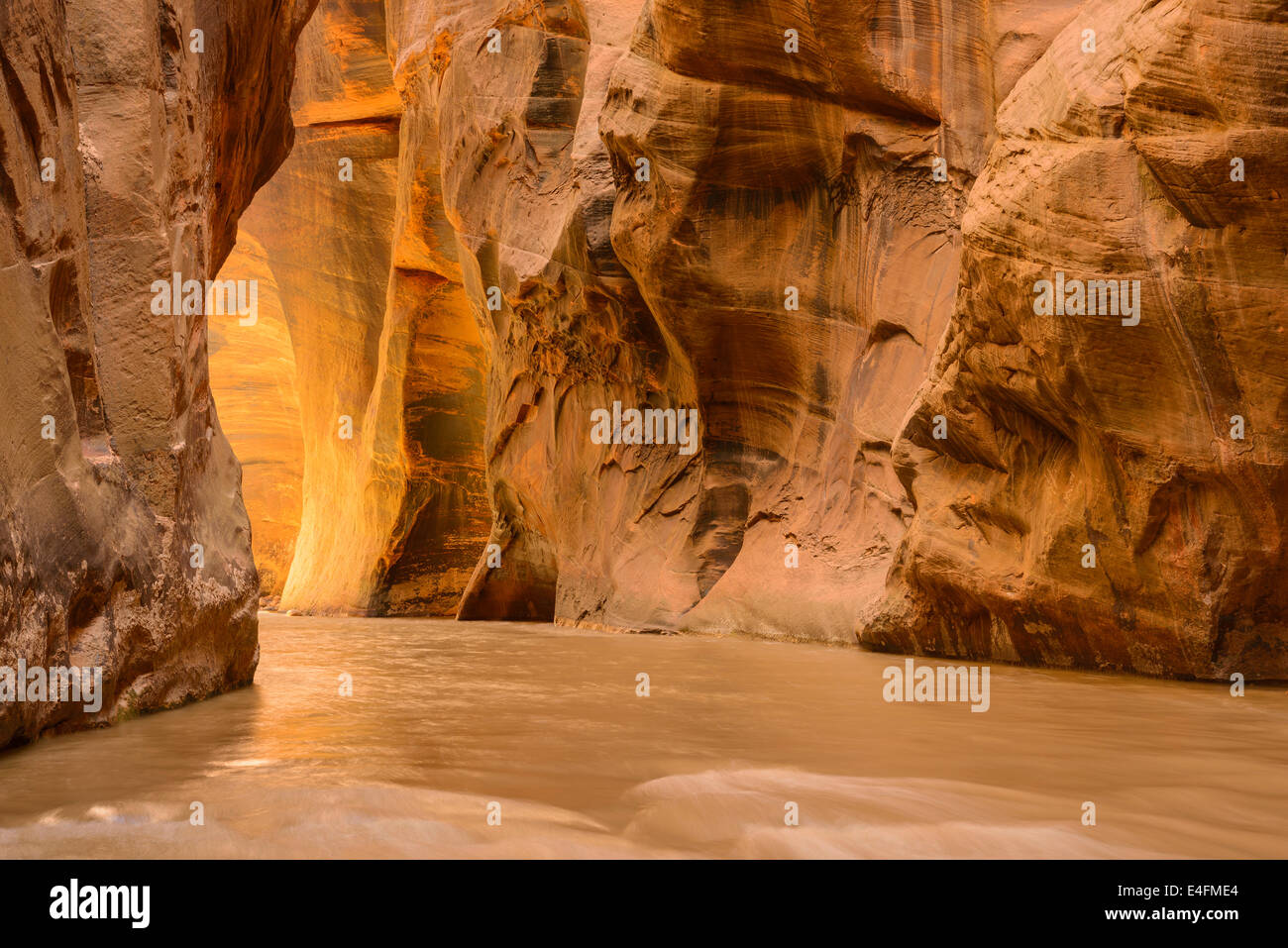 Virgin River Narrows, Zion Nationalpark, Utah, USA Stockfoto