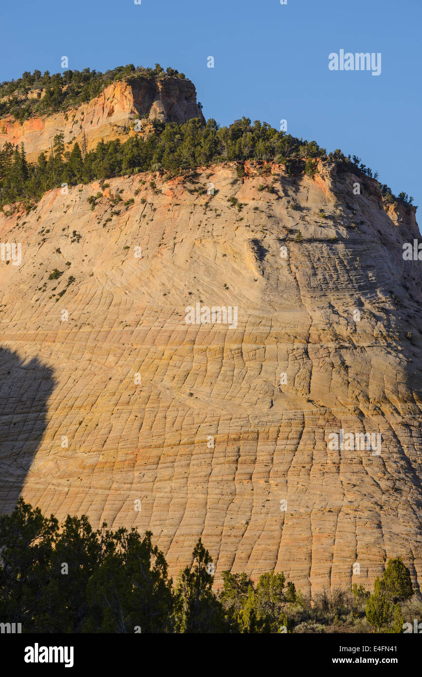 Checkerboard Mesa, Zion Nationalpark, Utah, USA Stockfoto