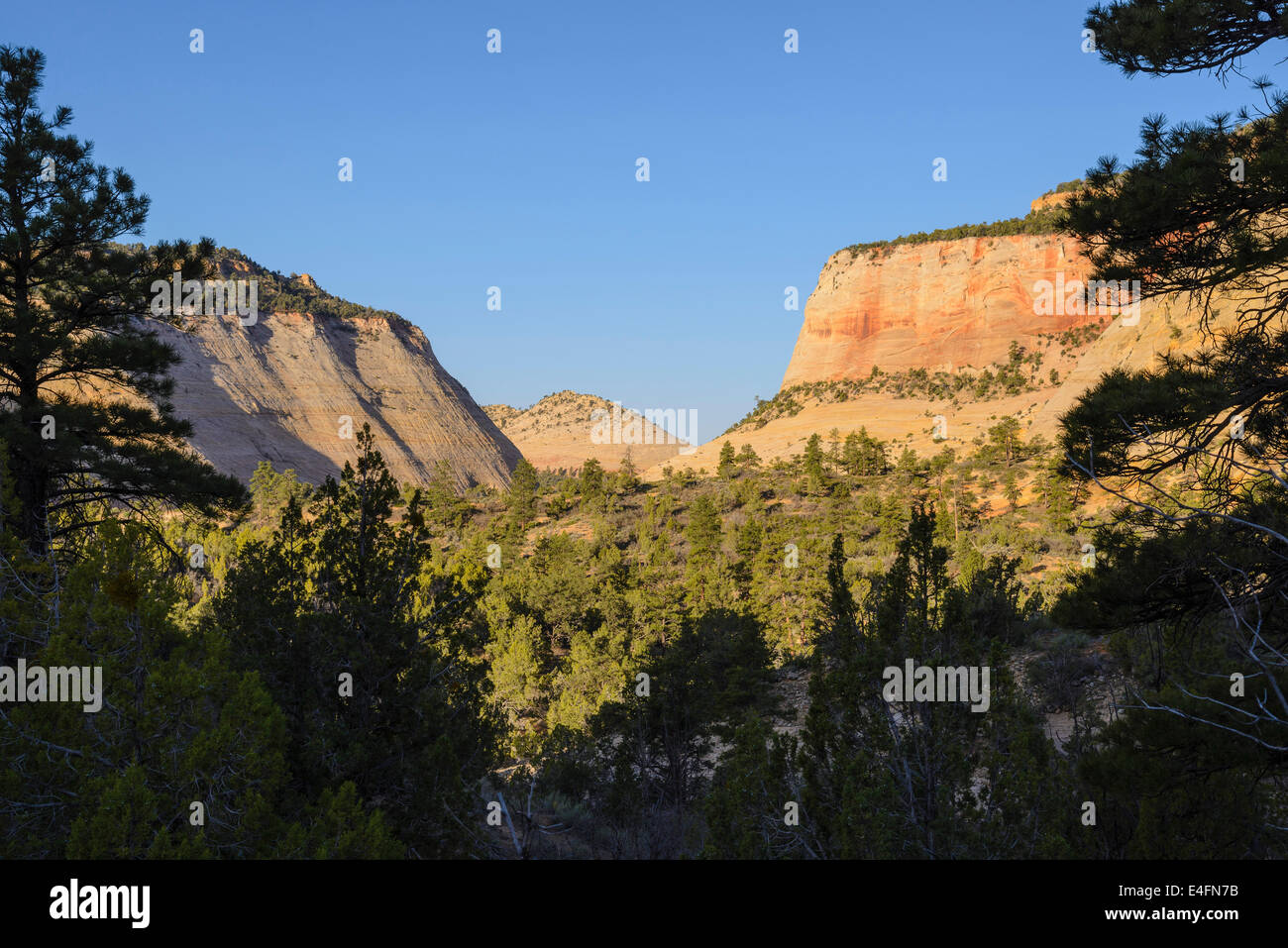 Zion Plateau, östlichen Abschnitt der Zion Nationalpark, Utah, USA Stockfoto