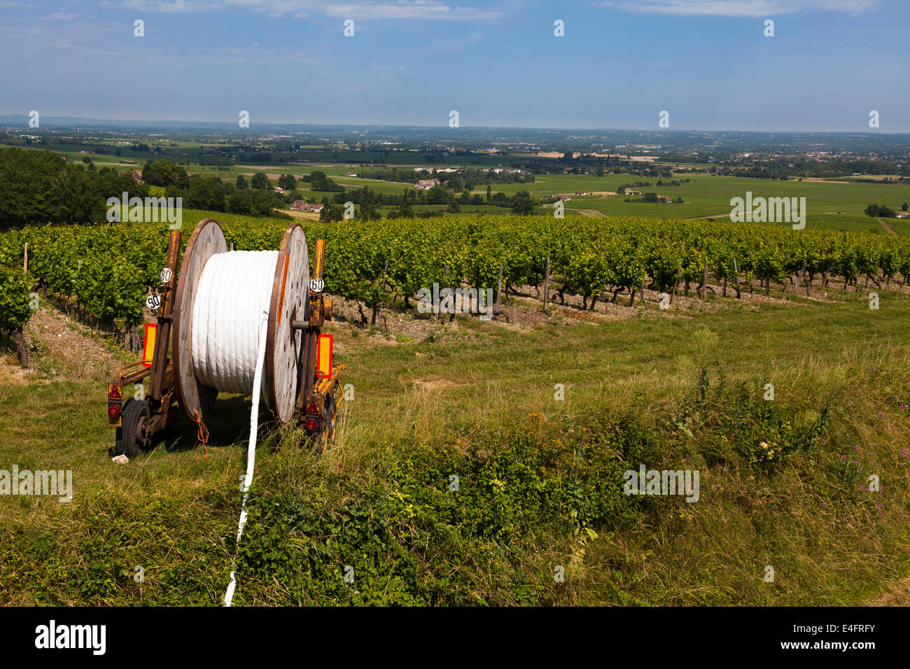 Wasserpfeife Bewässerung auf Trommel durch Reihen von Weinreben. Stockfoto