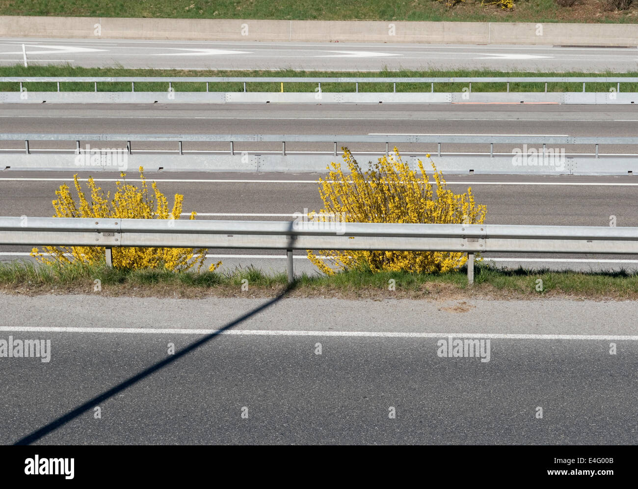 plants in highway Stockfoto