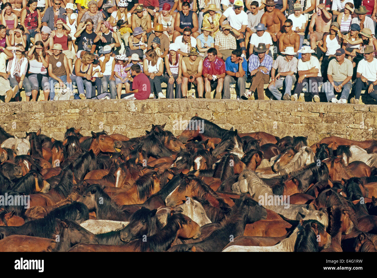 Ein großes Publikum, das während der A Rapa das Bestas in Sabucedo, A Estrada, Galicien, Spanien, um den Outdoor-Stift namens 'curro' saß Stockfoto