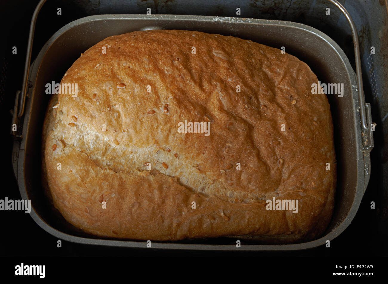 Frisch gebackenes Brot im Brotbackautomaten Stockfoto