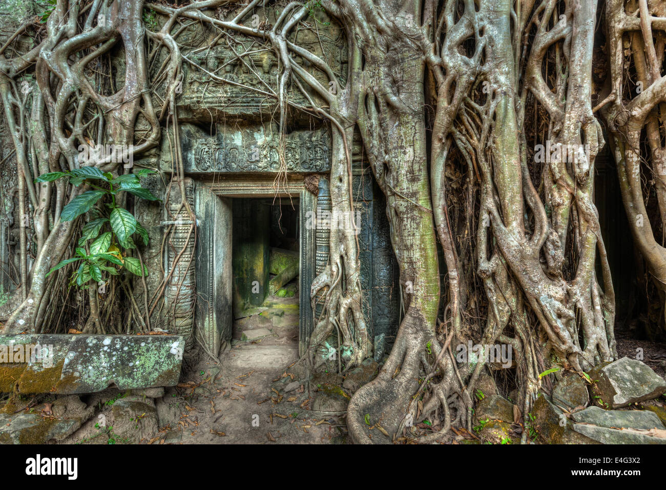 Reisen Sie Kambodscha Konzept Hintergrund - alte steinerne Tür und Baumwurzeln, Tempelruinen Ta Prohm, Angkor, Kambodscha Stockfoto
