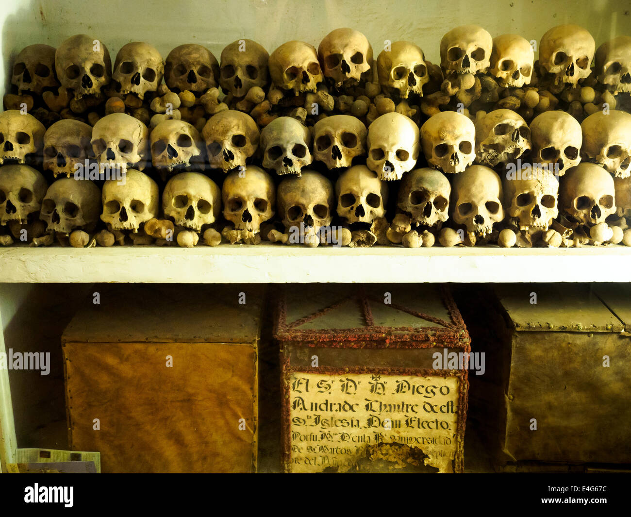Schädel in der Krypta unter dem Pflaster der Kathedrale von Lima - Peru Stockfoto