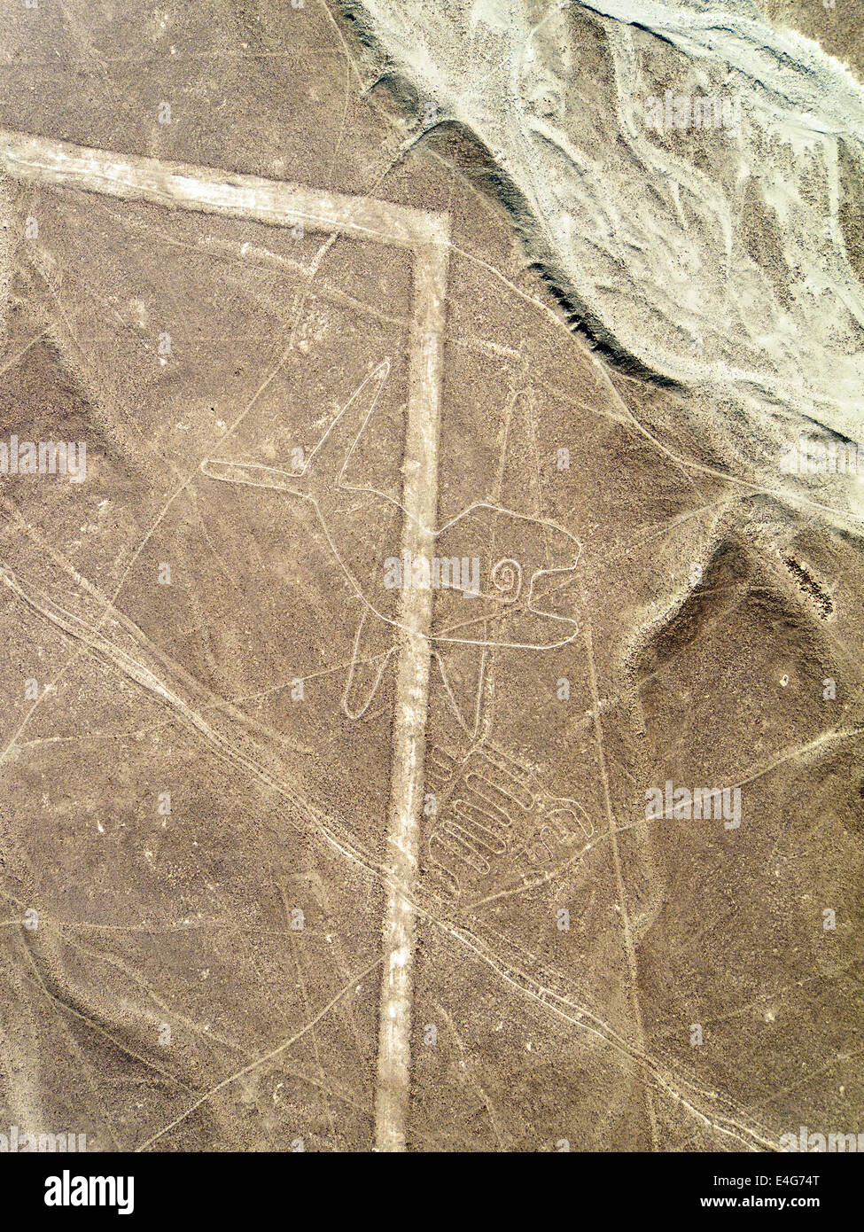 Balena (Wal), Linien und Geoglyphen von Nasca, Weltkulturerbe der Unesco - Peru Stockfoto