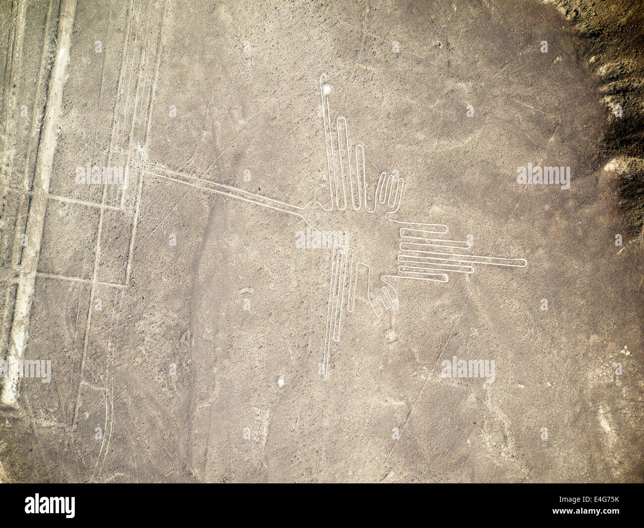 Der Kolibri (Colibri), Linien und Geoglyphen von Nasca, UNESCO-Weltkulturerbe - Peru Stockfoto