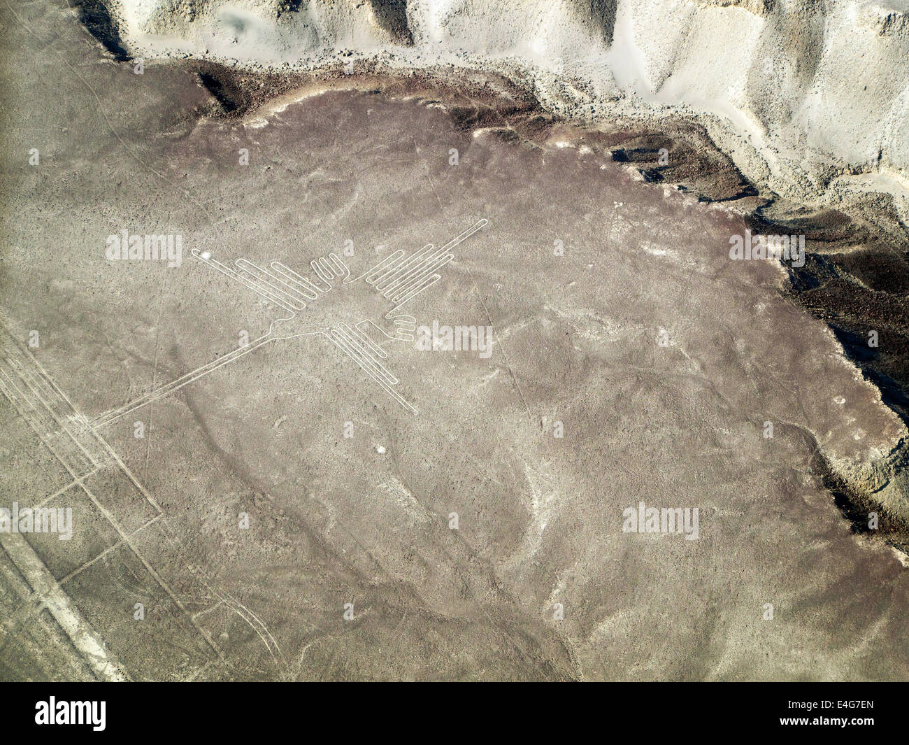 Der Kolibri (Colibri), Linien und Geoglyphen von Nasca, UNESCO-Weltkulturerbe - Peru Stockfoto