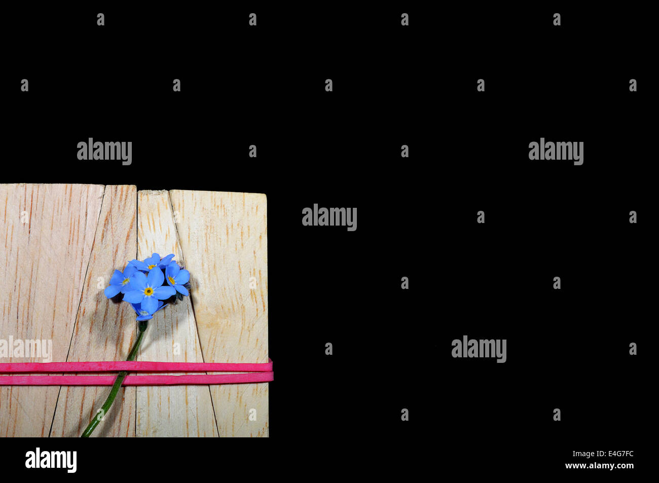 "forget me not"-Blume mit einer roten Schleife Band fixiert Stockfoto