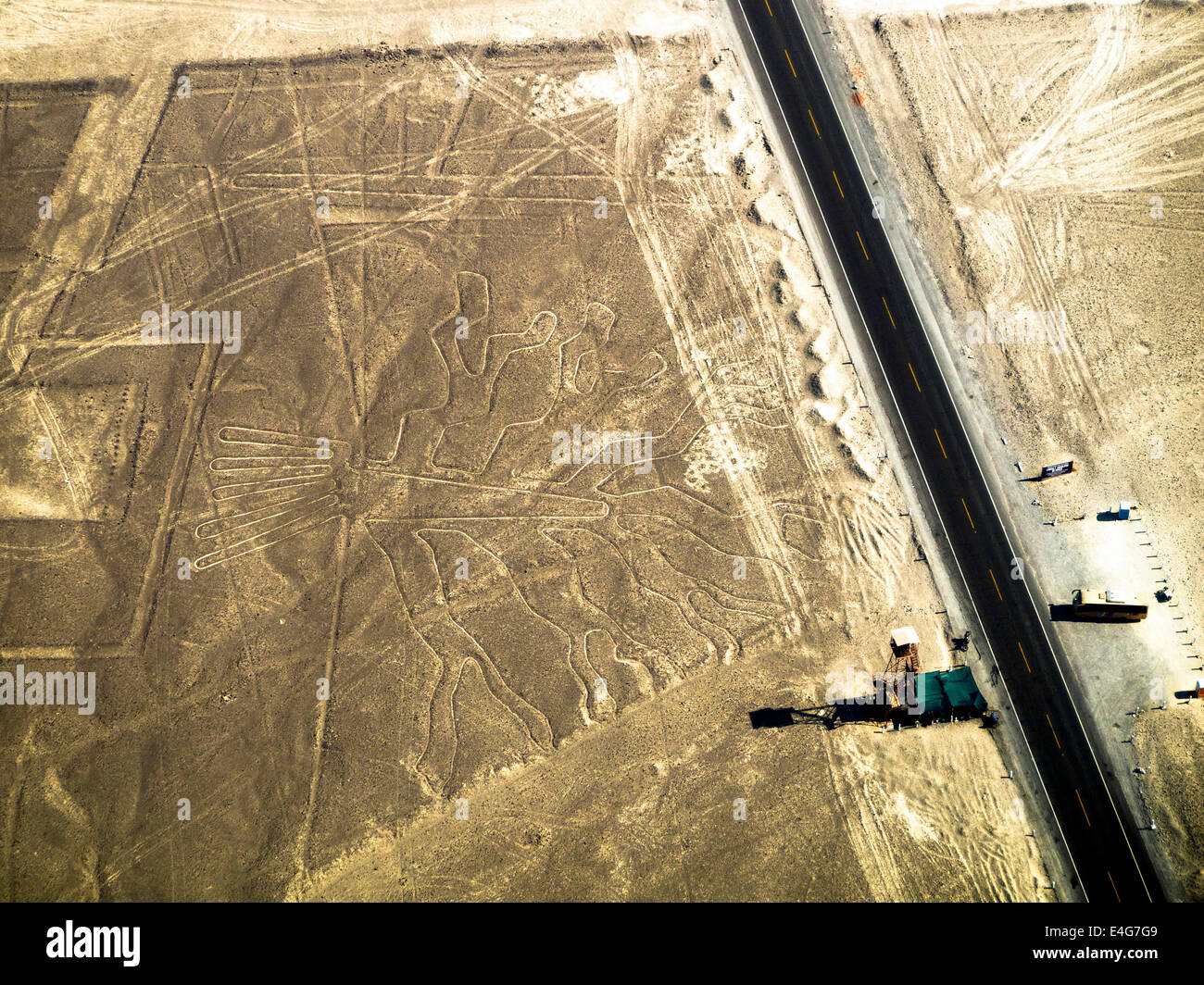 Arbor (Baum), Linien und Geoglyphen von Nasca, Weltkulturerbe der Unesco - Peru Stockfoto