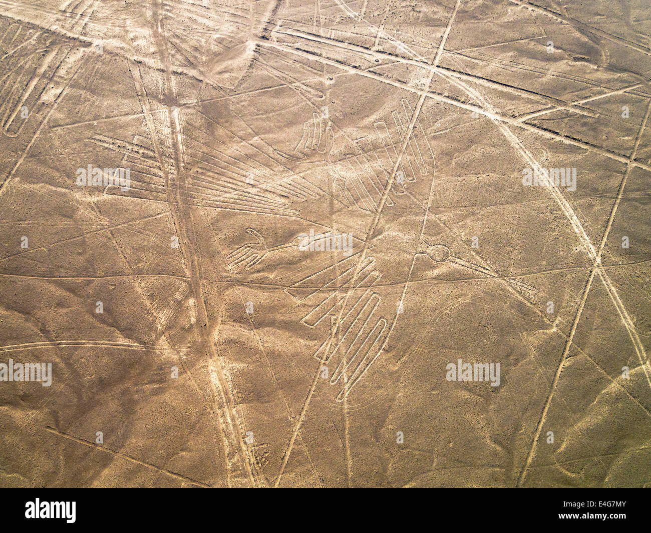 Condor, Linien und Geoglyphen von Nasca, UNESCO-Weltkulturerbe - Peru Stockfoto