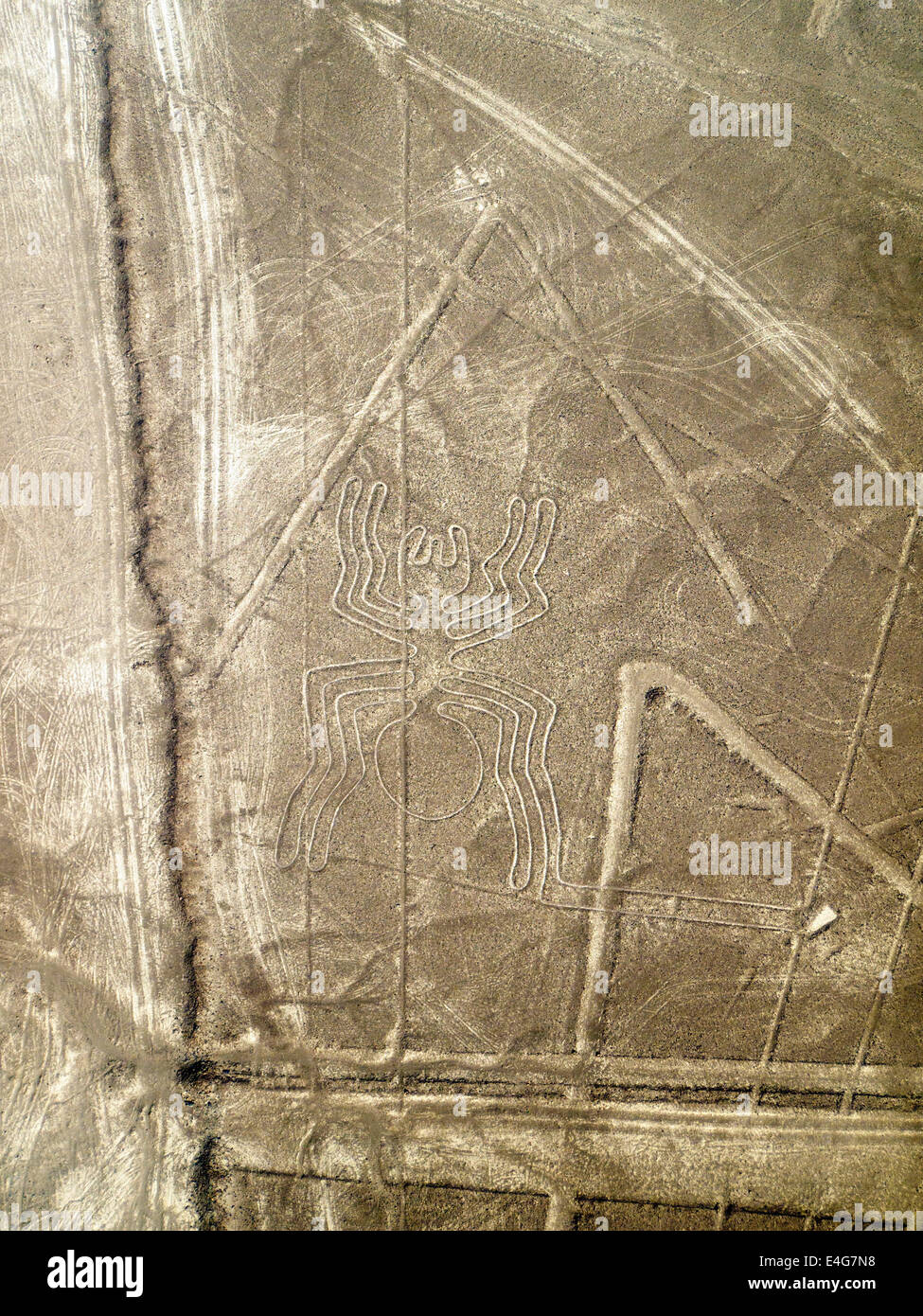 Arana (Spider), Linien und Geoglyphen von Nasca, UNESCO-Weltkulturerbe - Peru Stockfoto