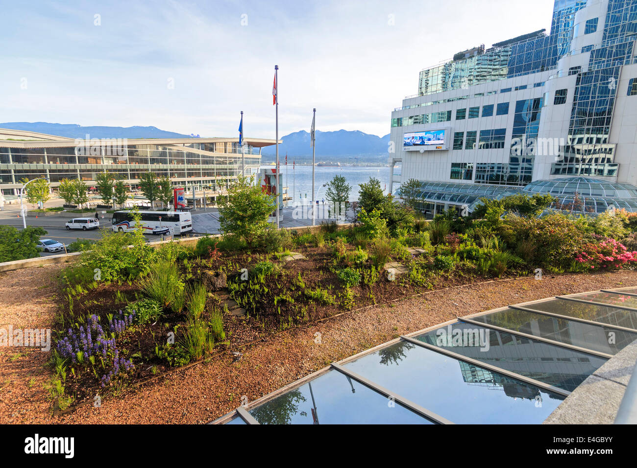 Einer der beiden Dachgärten im Fairmont Vancouver Waterfront Hotel in Vancouver, British Columbia, Kanada. Stockfoto