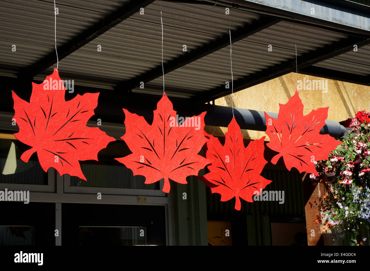 Kanadische Red Maple Leaf Dekorationen vor einem Geschäft auf Granville Island, Vancouver, Britisch-Kolumbien, Kanada Stockfoto