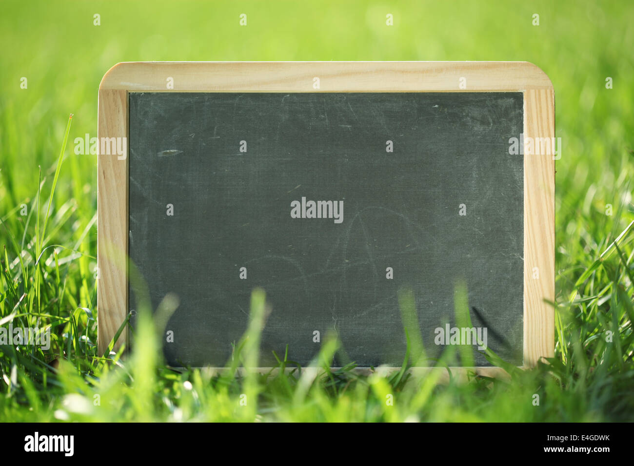 Leere Tafel draußen im grünen Rasen Stockfoto