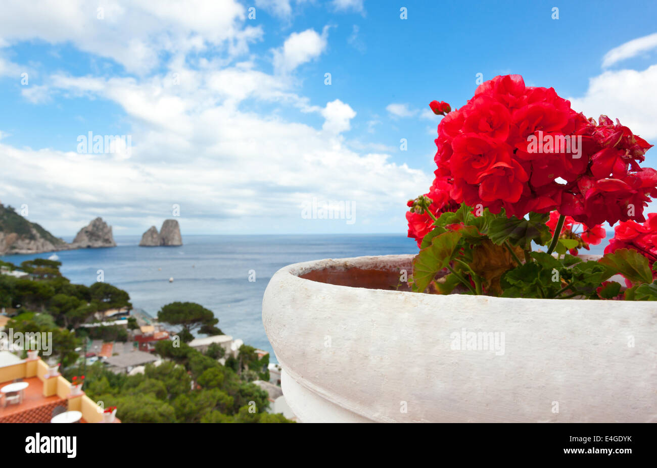 Rote Geranien mit Faraglioni im Hintergrund, berühmten riesigen Felsen, die Insel Capri in Italien. Stockfoto