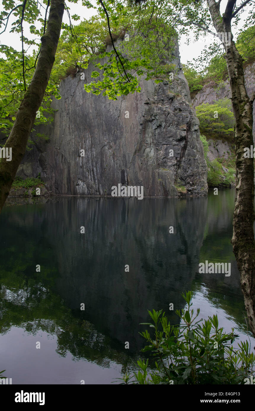 Padarn Country Park von Llanberis, Gwynedd Stockfoto
