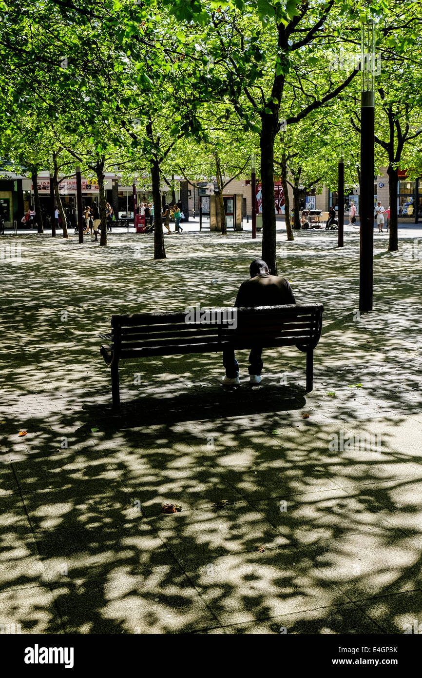 Ein Mann sitzt unter gefleckte Sonnenlicht. Stockfoto