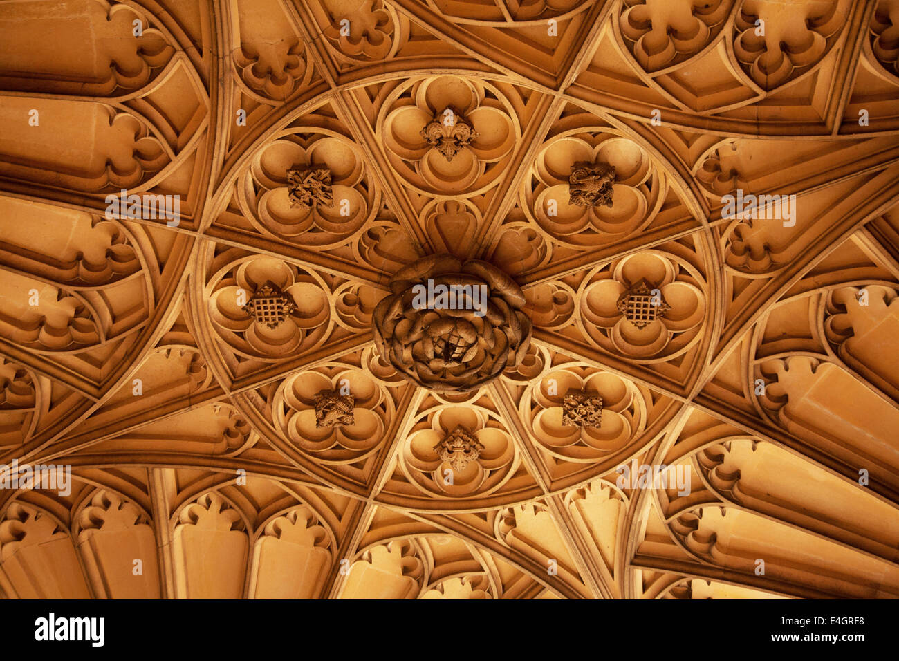 Tudor-rose Decke Relief am Hampton Court Palace, UK Stockfoto