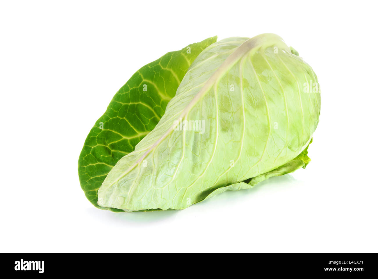 Rohem Spitzkohl isoliert auf weißem Hintergrund Stockfoto