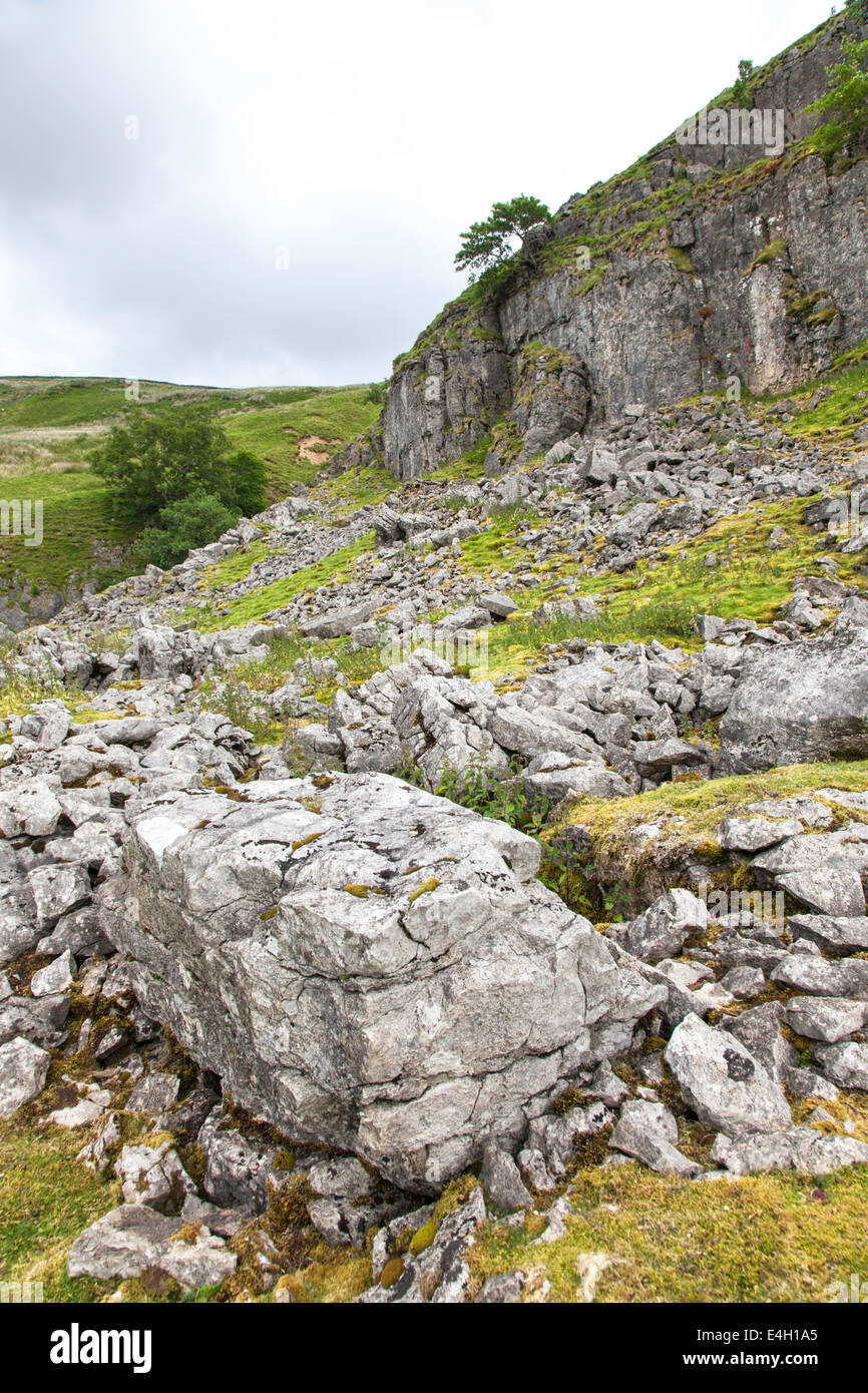 Kalkstein Erosion oberhalb Swaledale, Yorkshire Dales National Park, England, UK Stockfoto