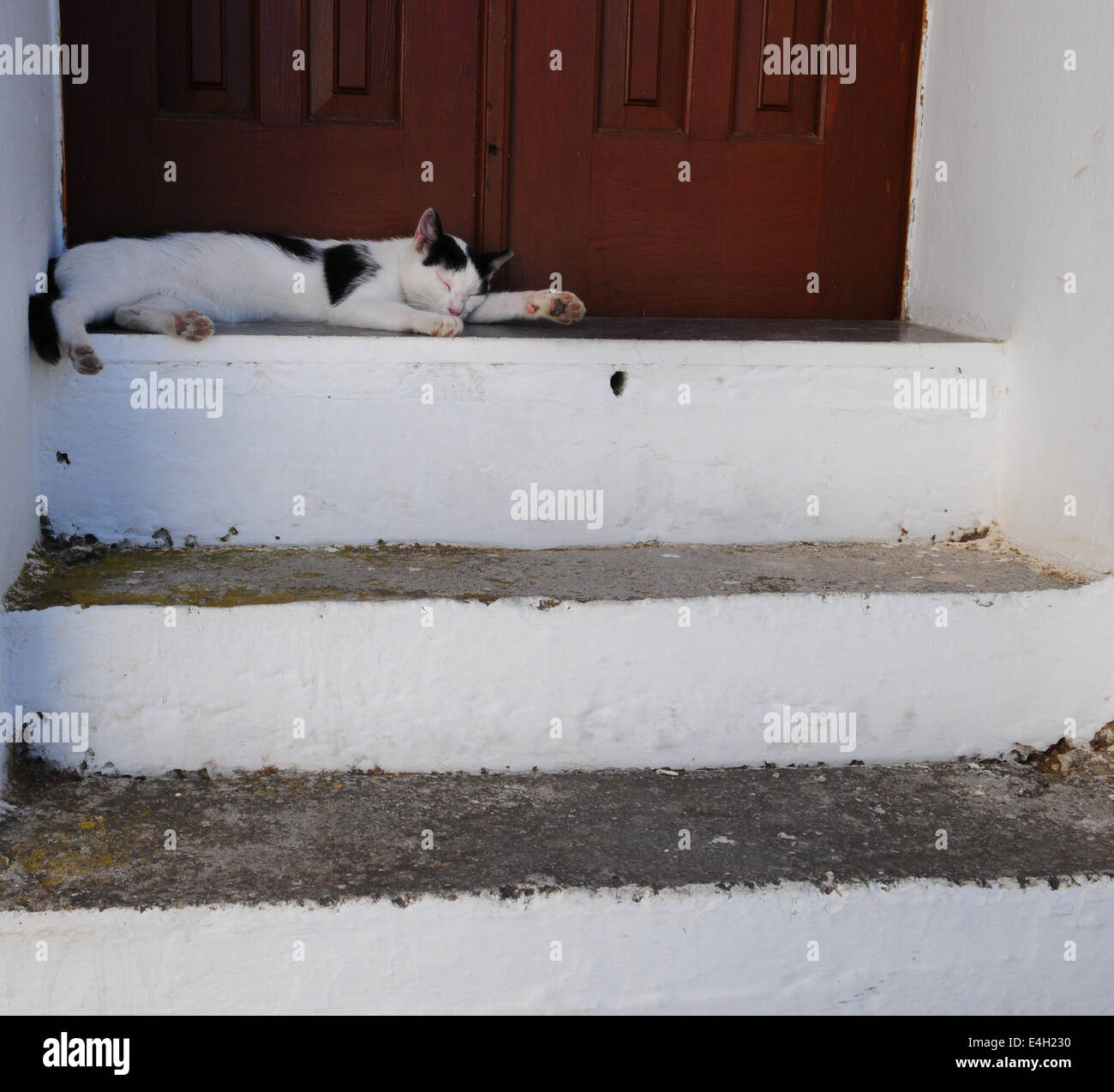 Griechischen Katze mit Siesta auf Haustür im Sommer Wärme, Lindos, Rhodos, Griechenland Stockfoto