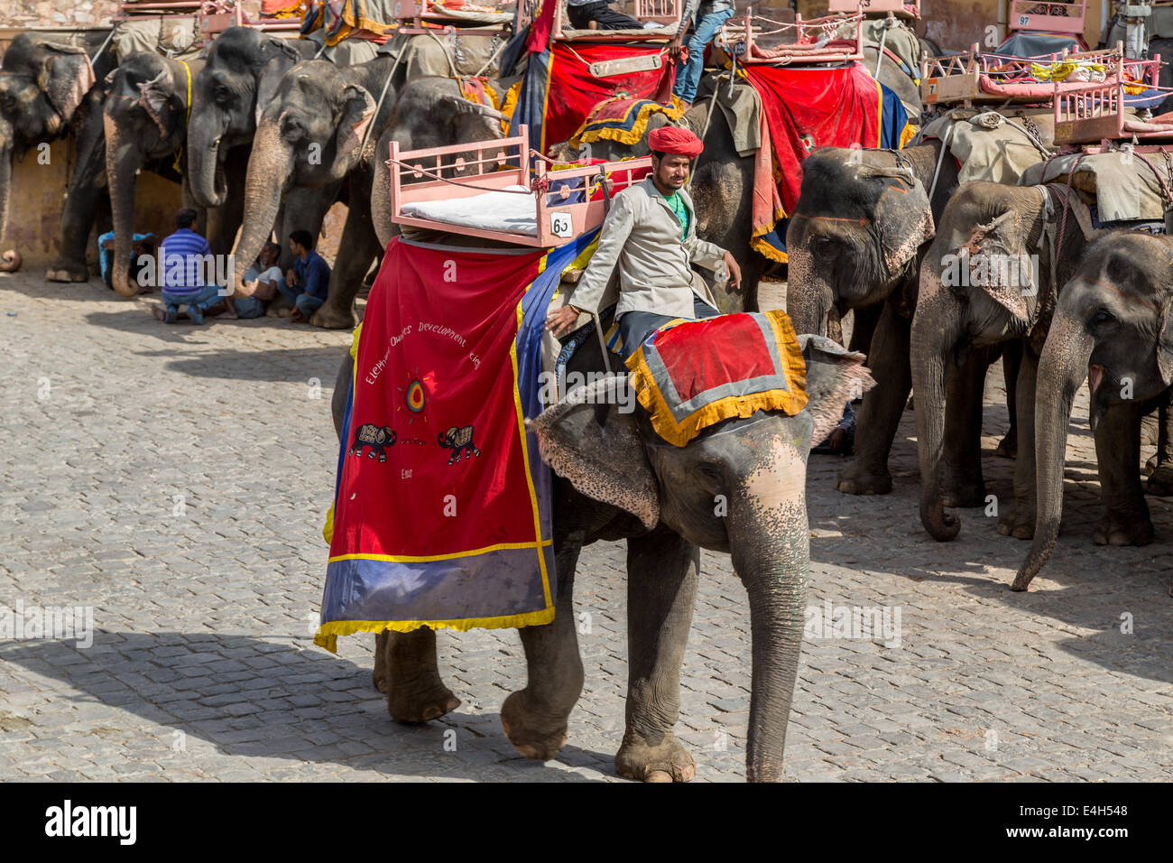 Elefant im Amber Fort, herrliche befestigten Palast in der Nähe von Jaipur. Diese Maharadscha-Residenz Stockfoto