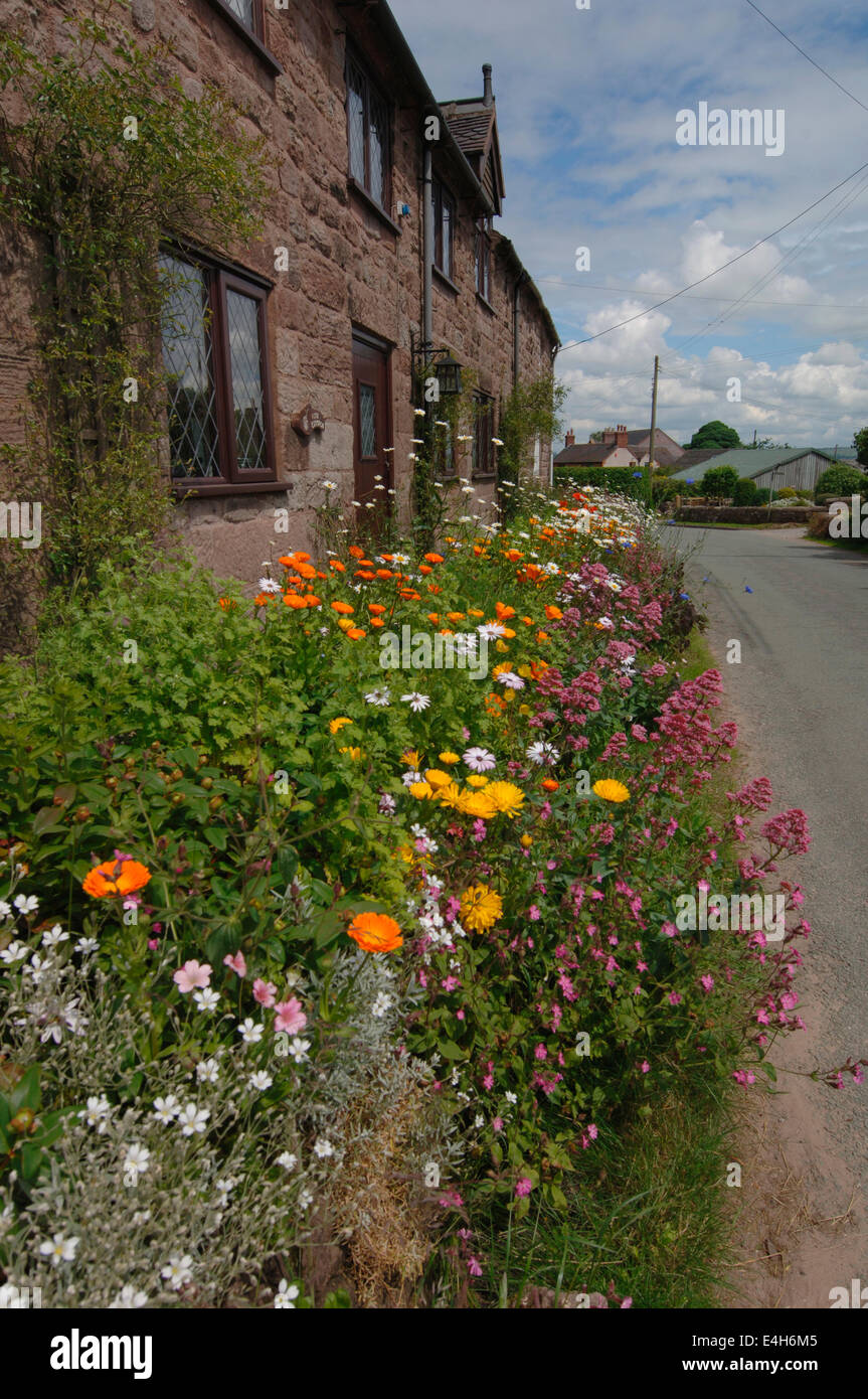 Cottage-Garten. Stockfoto