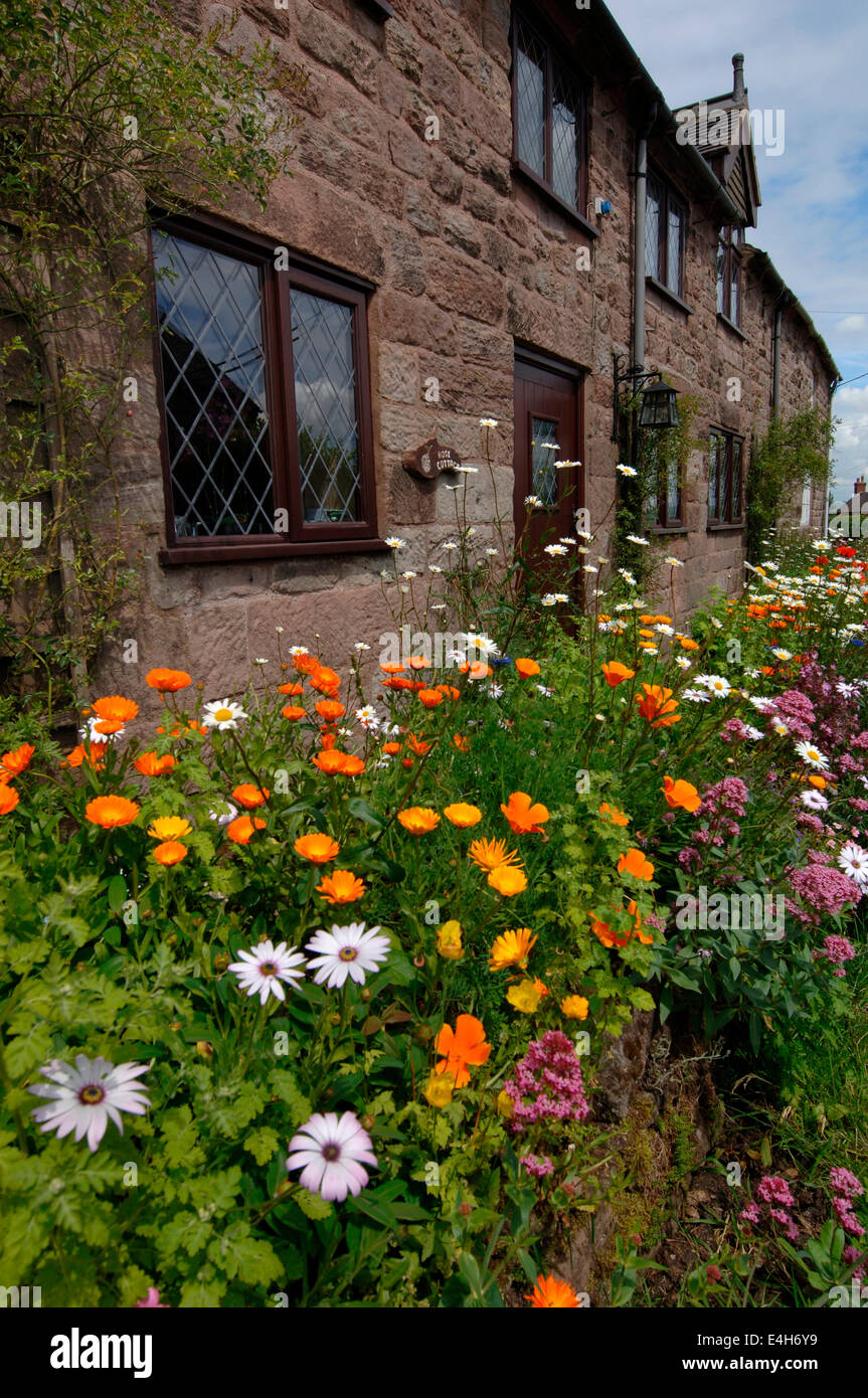 Cottage-Garten. Stockfoto