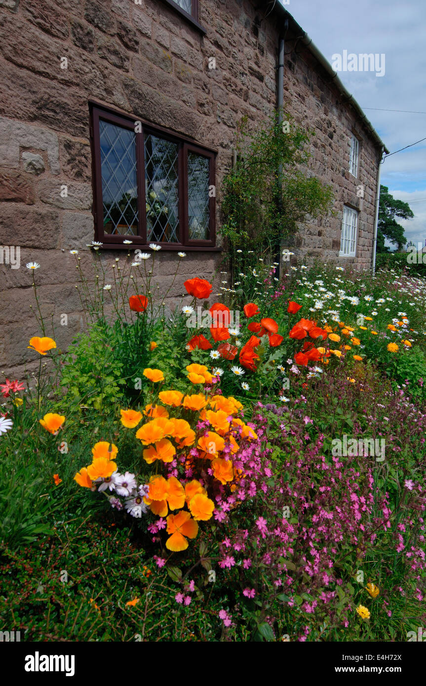 Cottage-Garten. Stockfoto