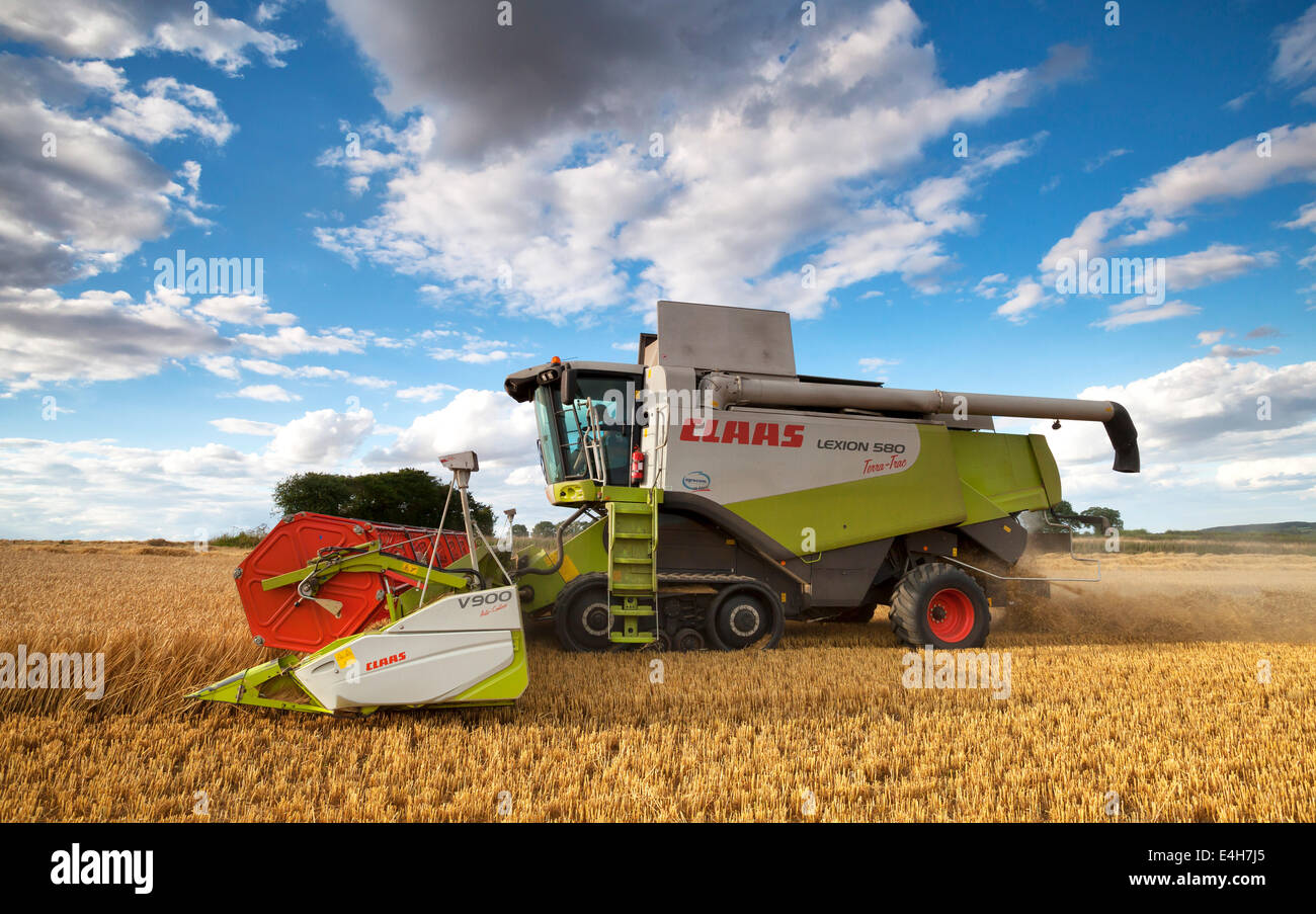 Mähdrescher bei der Arbeit in einem Gerstenfeld Norfolk, UK Stockfoto