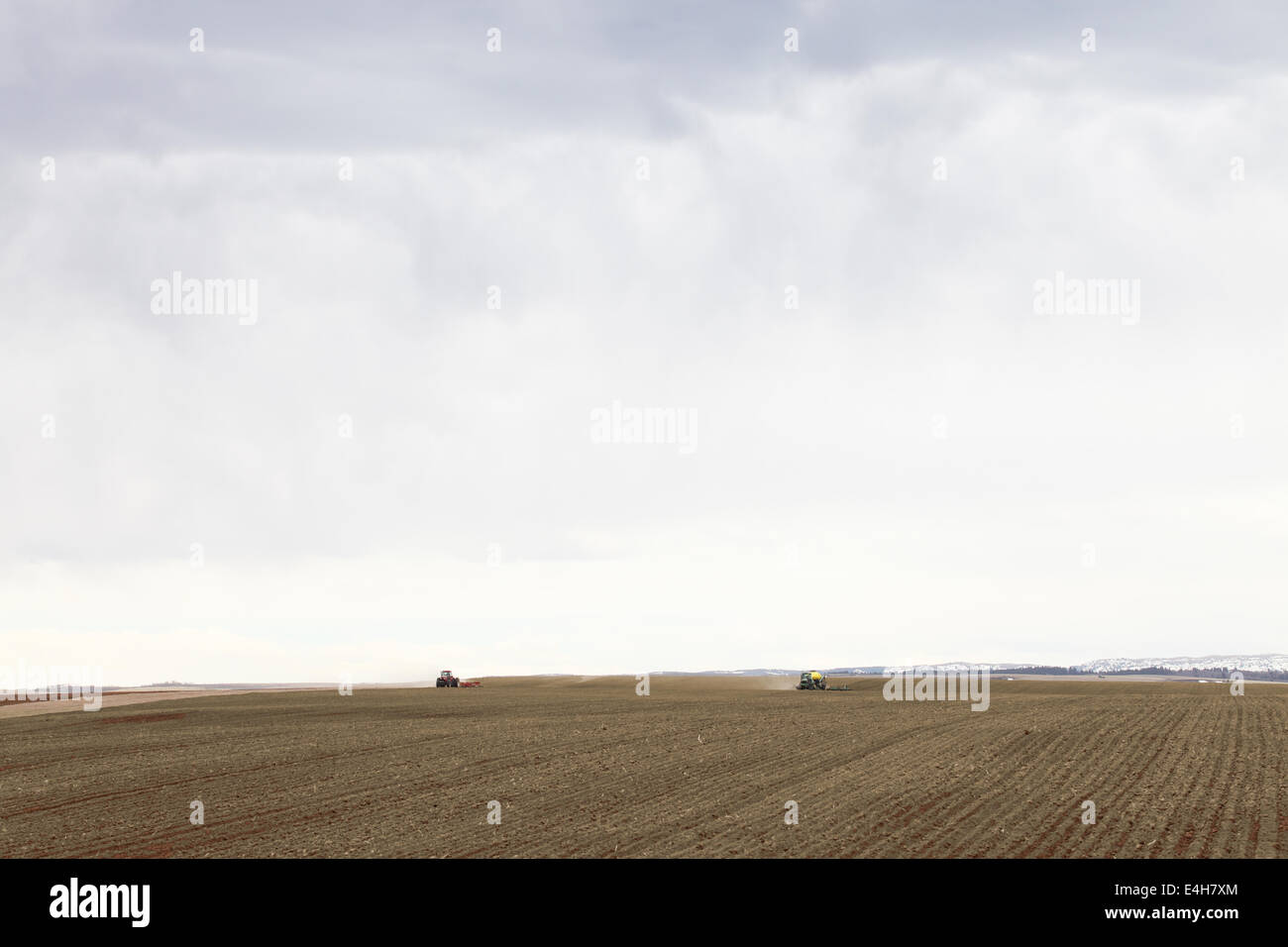 Anbau von Weizen Stockfoto