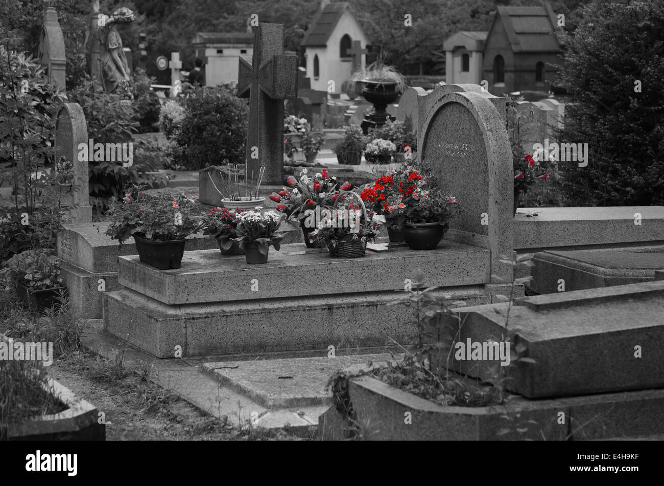 Rot und Scarlet Blumen, Rosen in einem schwarzen & weiße Foto der Gedenkpark Friedhof Pere Lachaise in Paris Stockfoto