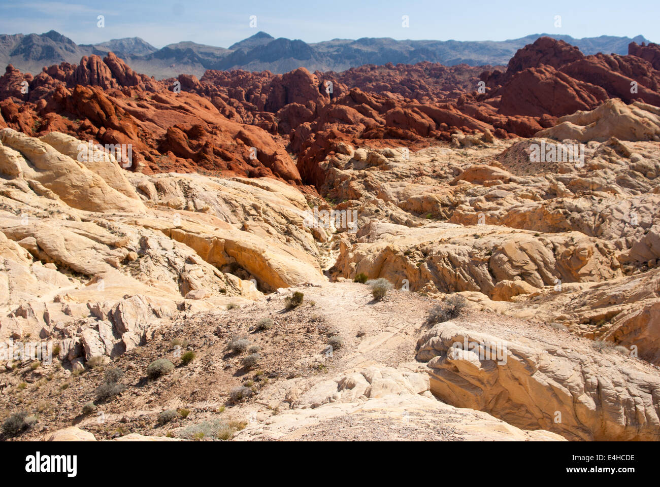 Farbige Felsen im Valley of Fire State Park Stockfoto