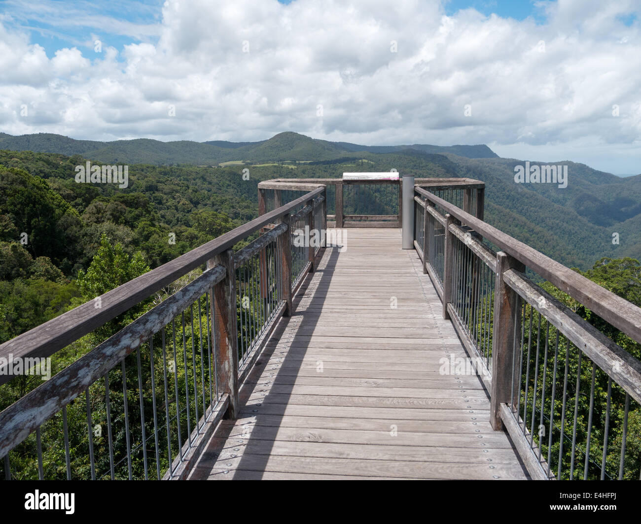 Holz-Brücke im Dorrigo National Park, Australien Stockfoto