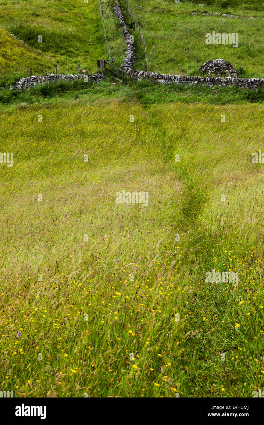 Wanderweg durch Hartington Wiesen Stockfoto