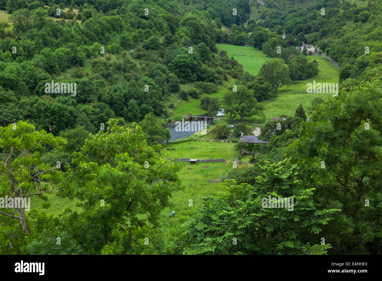 Monsal Dale und River Wye Stockfoto