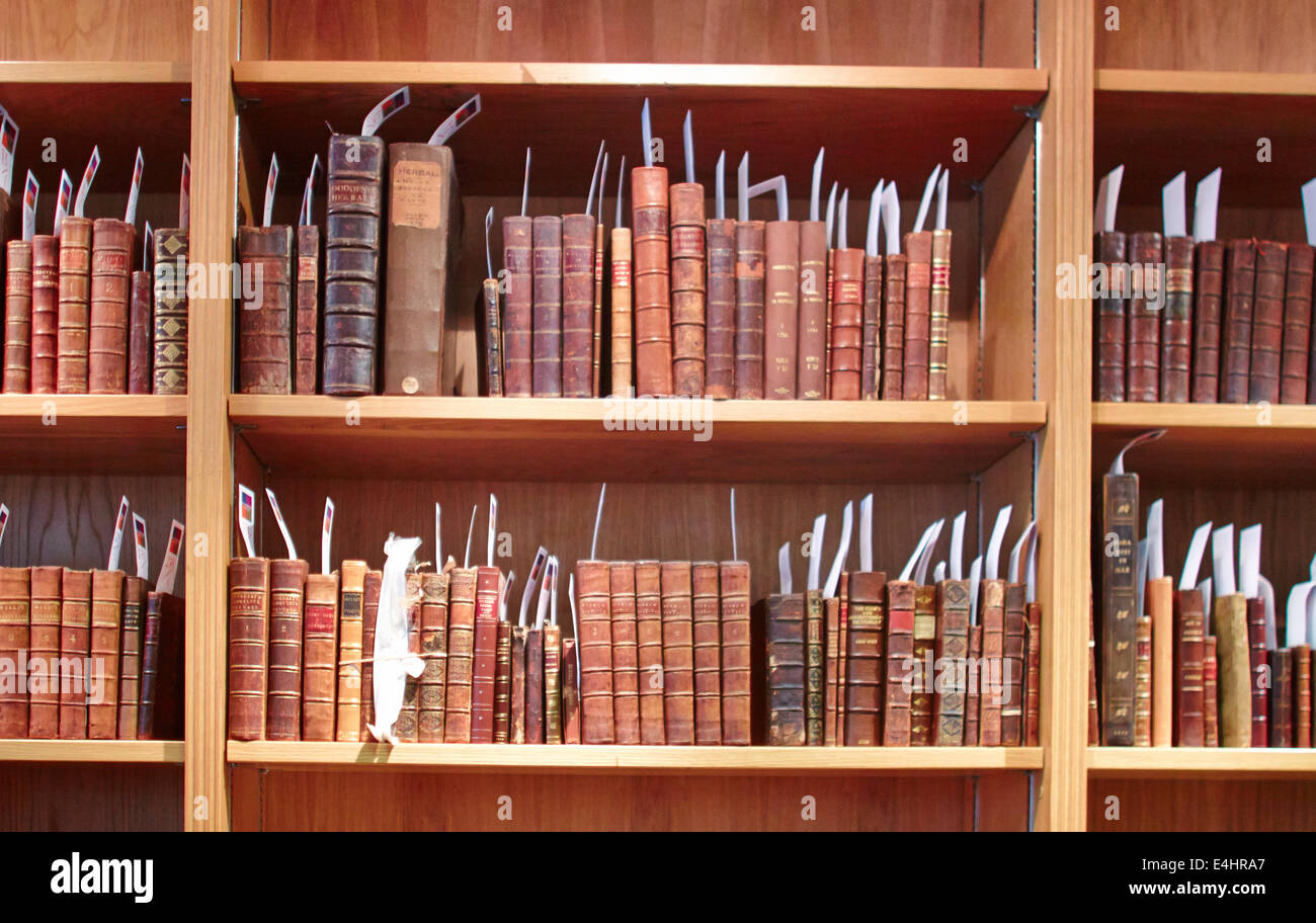 Altes Leder gebundene Bücher Stockfoto