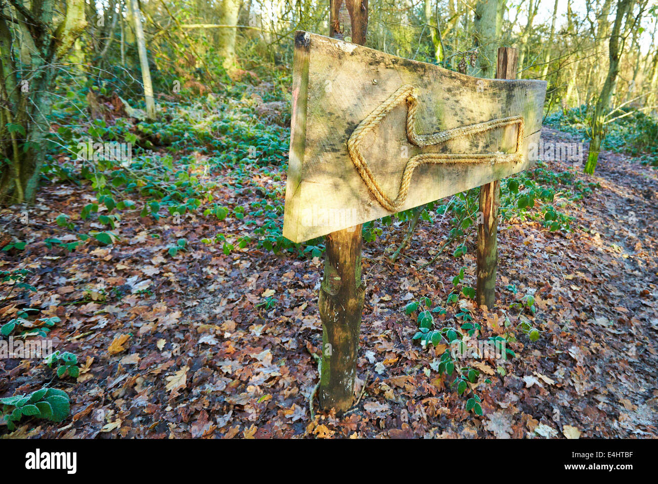 Linken Pfeil-Symbol im Wald gemacht aus Holz und Seil Stockfoto