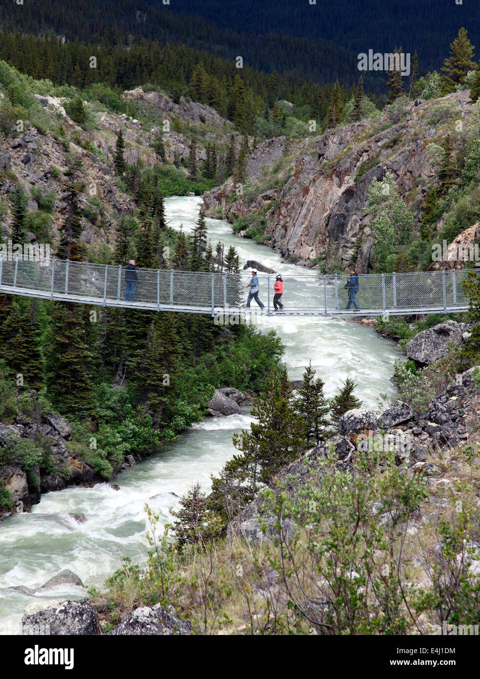 Hängebrücke über den Fluss Yukon Stockfoto