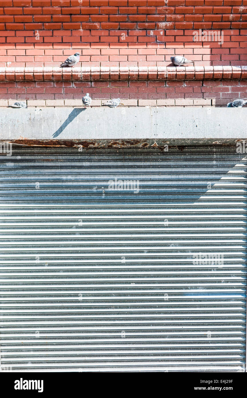 Shop Fensterläden auf ein Closed Shop abgerissen. Stockfoto